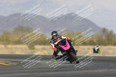 media/Feb-04-2023-SoCal Trackdays (Sat) [[8a776bf2c3]]/Turn 14 (115pm)/